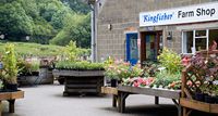 3716 kingfisher farm shop.jpg