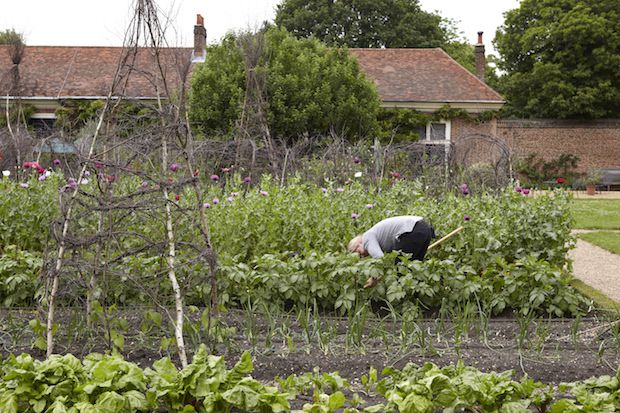 Gardener at work in June at Ham House and Garden, Surrey.