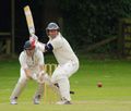 cricket-724617 copy.jpg