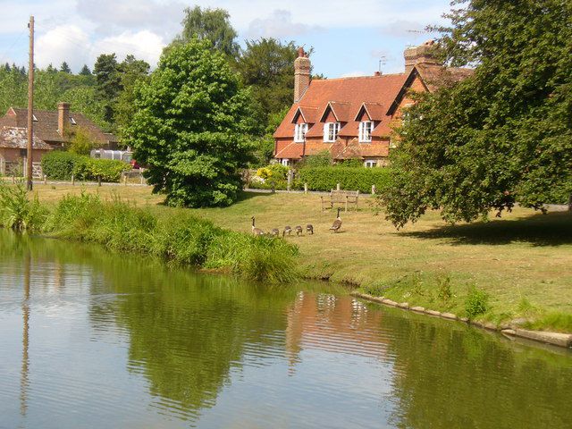 Hascombe's idyllic village pond threatened by Waverley BC