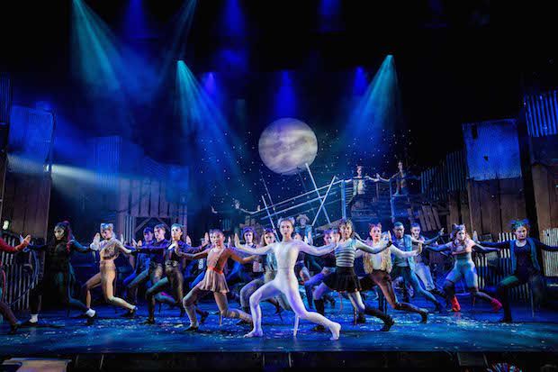 Review: Cats – The Musical at Guildford's Yvonne Arnaud - Essential Surrey