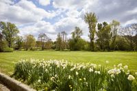 the-mill-pub-beer-garden-elstead.jpg