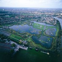 wetland-centre.jpg