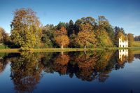 Painshill-Conservatory-Trees.jpg