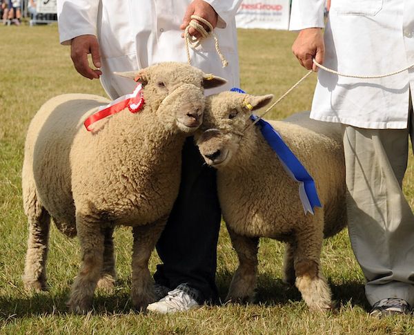 Cranleigh Show 2014