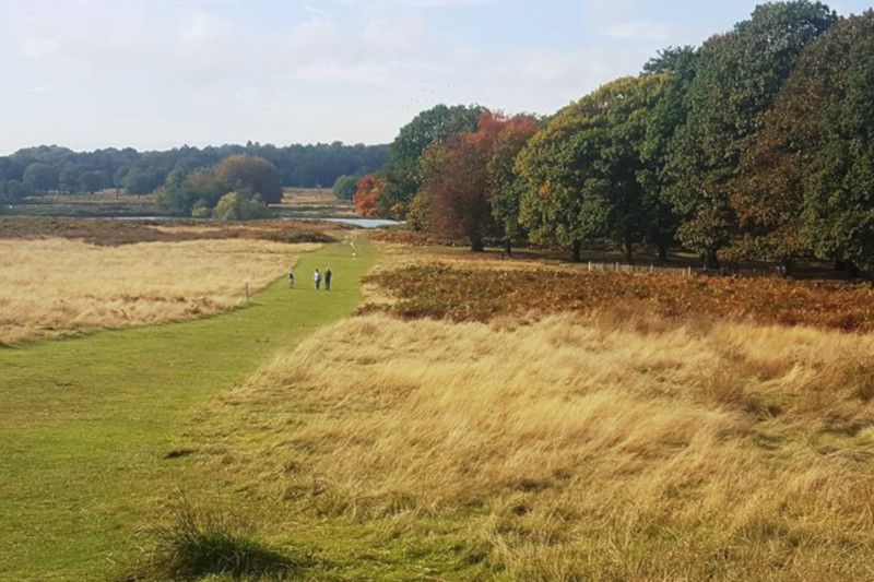 Richmond Park