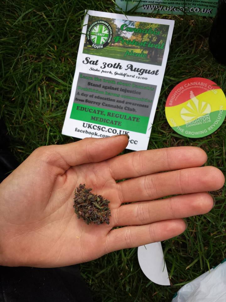 Surrey Cannabis Club hold 'Protestival' picnic