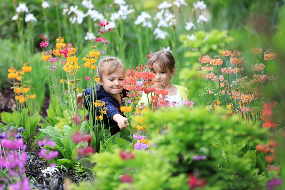 Family Gardening Festival - RHS Garden Wisley, 30th May 2018