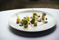 goats-curd-starter--2-.jpg