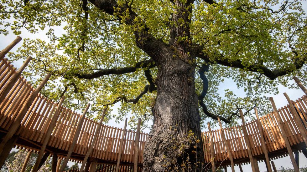 playground-for-kids-surrey-london.png