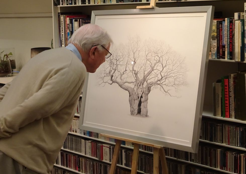 DA inspects Mark Frith's Royal Oak, photo by Richard Gray.jpg