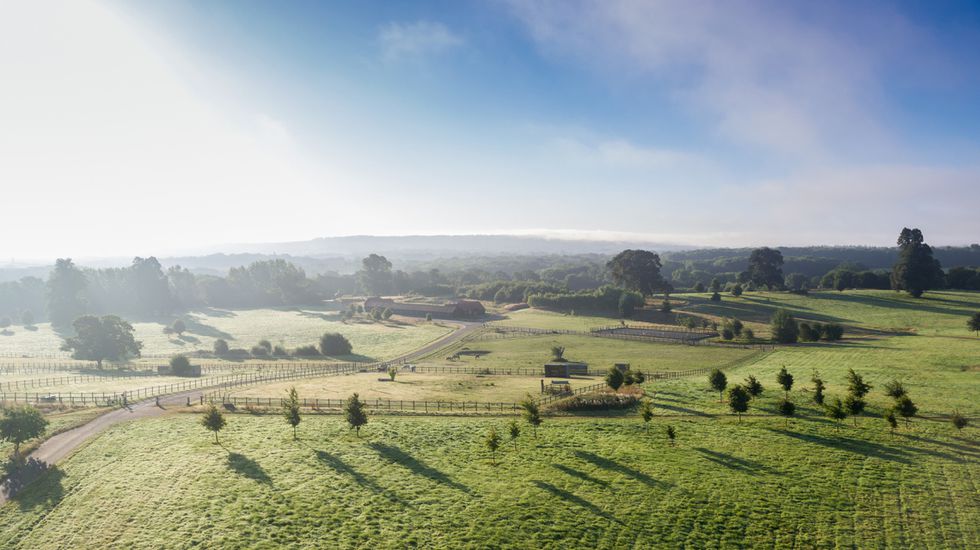 Four Seaons Hampshire views.jpg