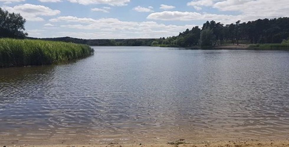 frensham pond.jpg