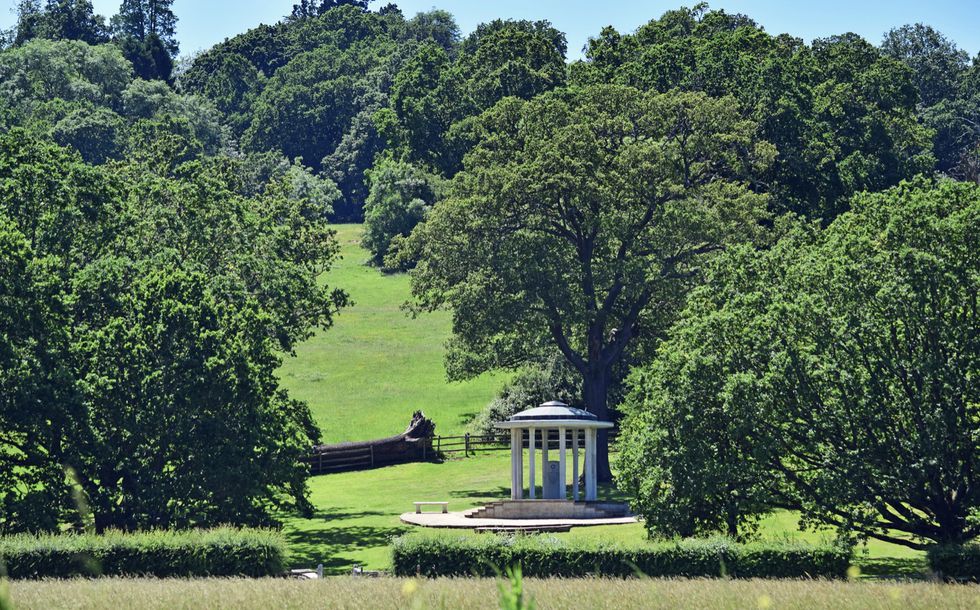 runnymede nature reserve.jpg