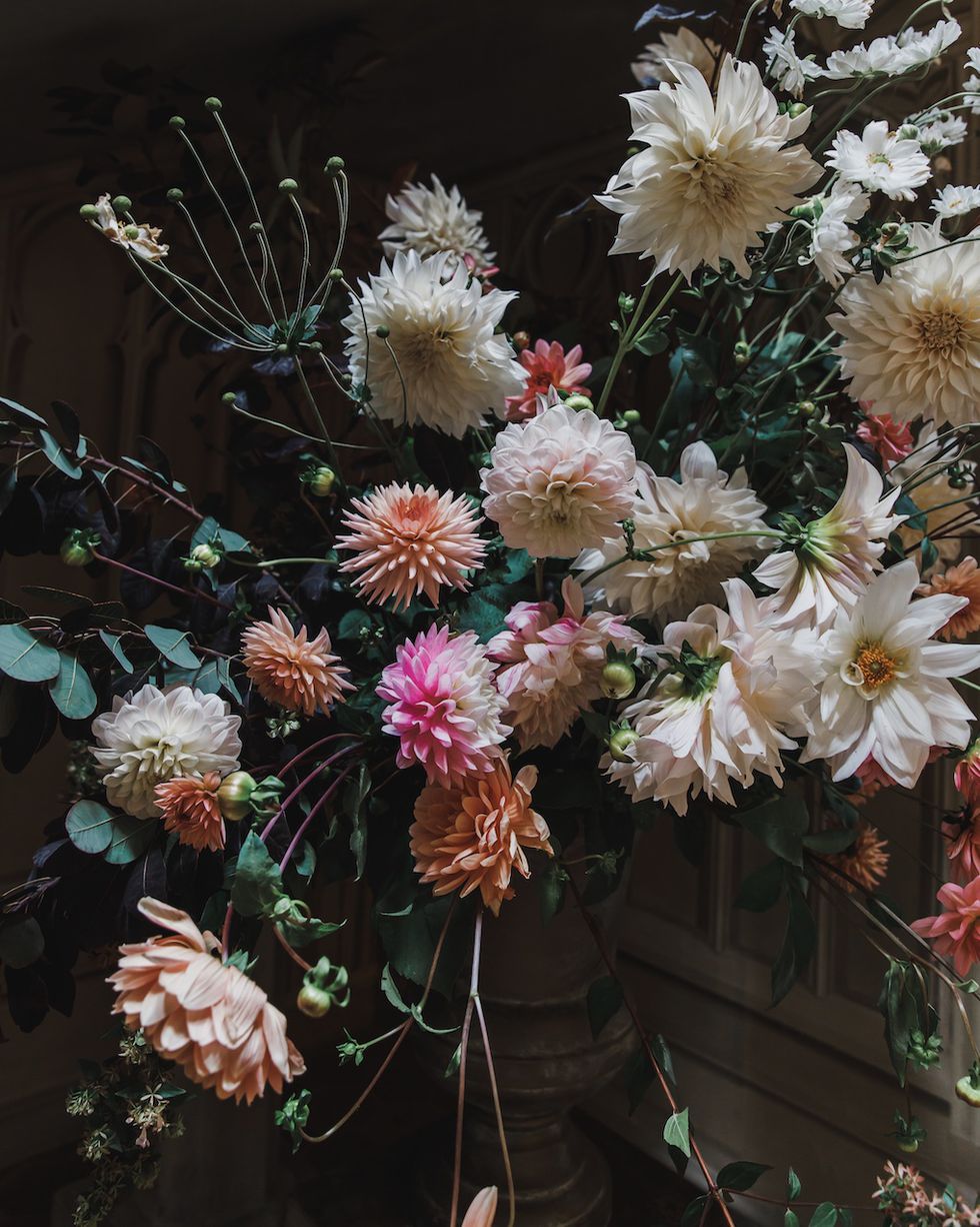 Strawberry Hill House Just Dahlias Leigh Chappell.jpg