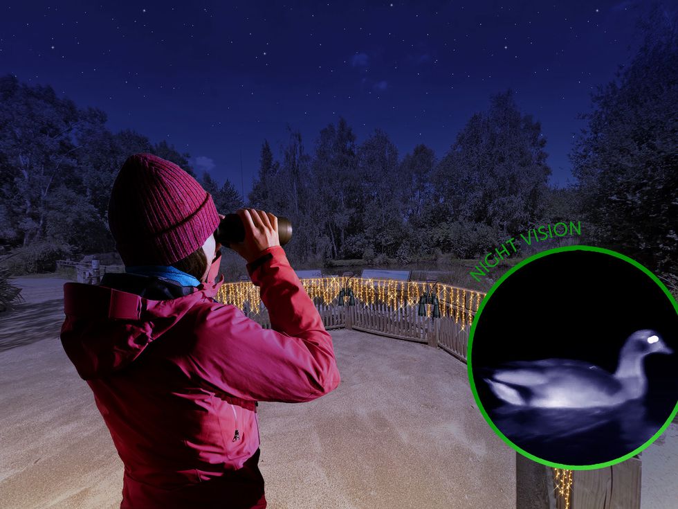Illuminature night vision binoculars.jpeg