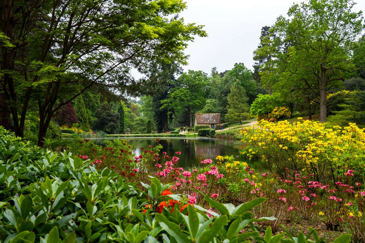 Visit: Leonardslee Lake & Gardens - Essential Surrey & SW London