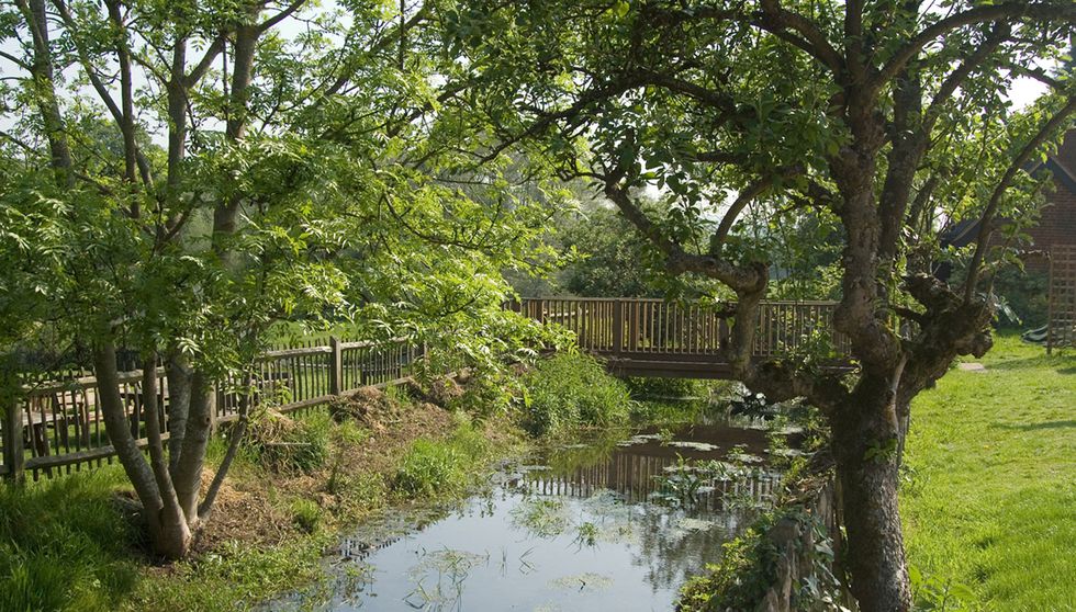 percy arms garden.jpg