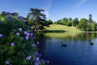 National_Trust_Claremont_Landscape_Garden_summer_157595591.JPG