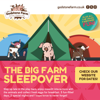 8454_Godstone Farm_Big Farm Sleepover_RGB_Instagram 2 1080x1080.png