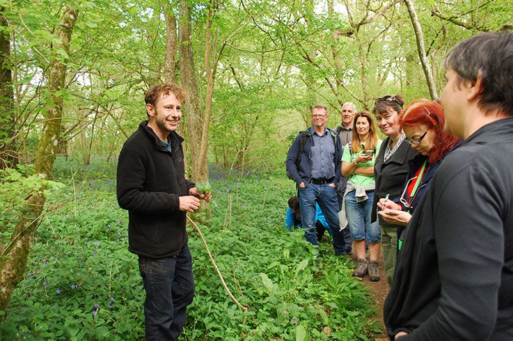 wild food foraging courses.jpeg