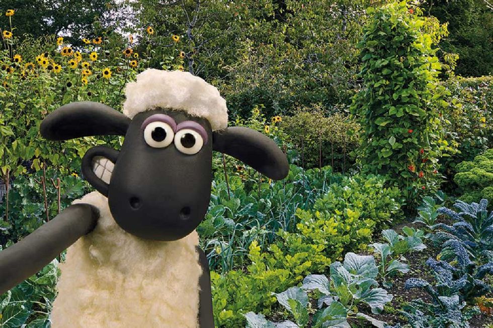 shaun the sheep.jpg