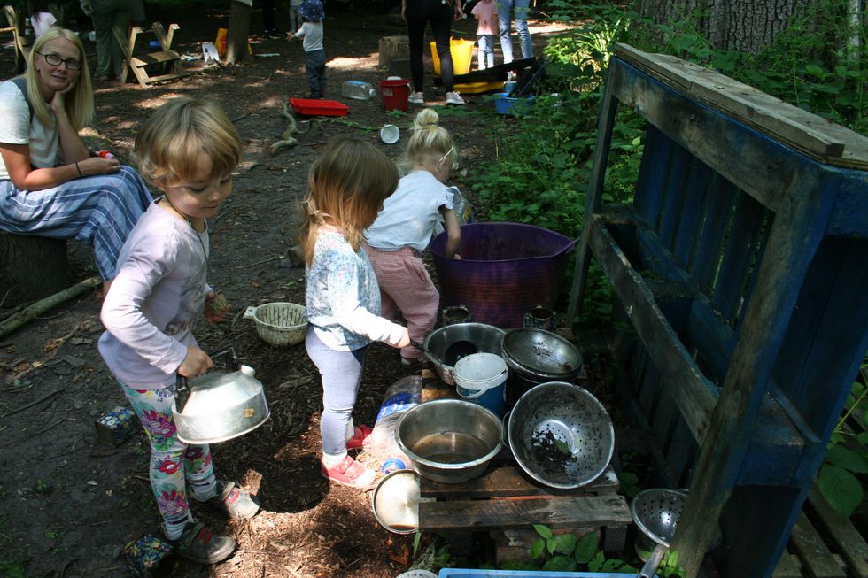 forest kitchen 2.JPG