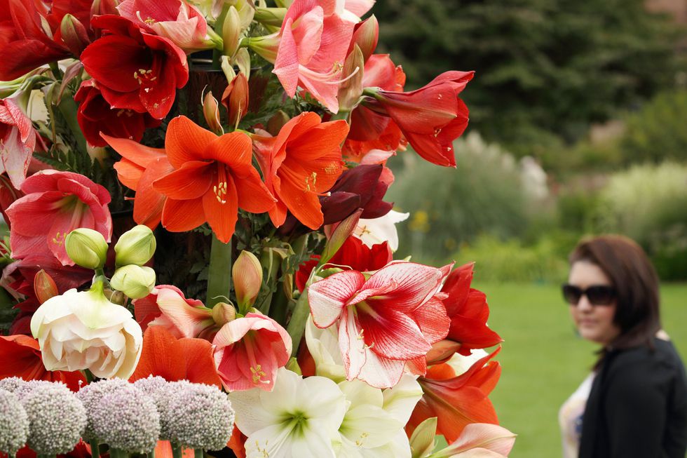 Wisley Flower Show.jpg