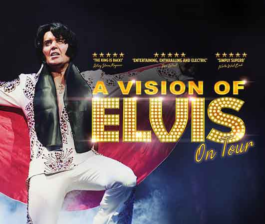 Vision_Of_Elvis.jpg