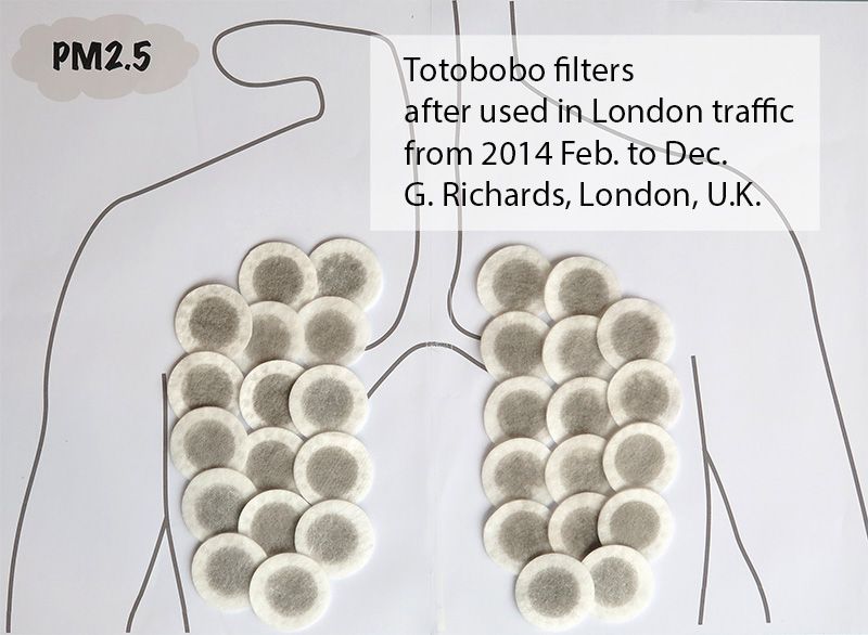 bike filter totobobo.jpg