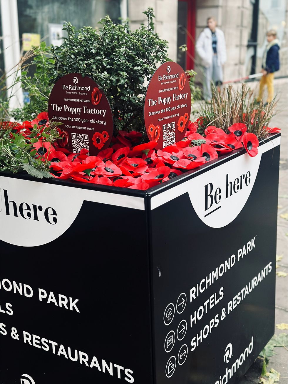 Be Remembered poppy display close up by Be Richmond.jpg