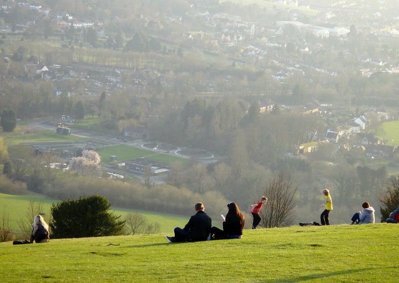 Sunny Afternoon on Box Hill