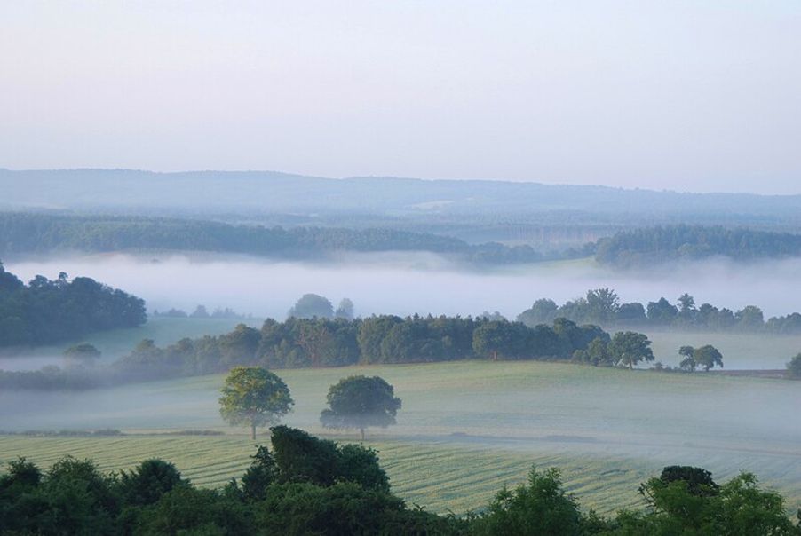 albury newlands corner