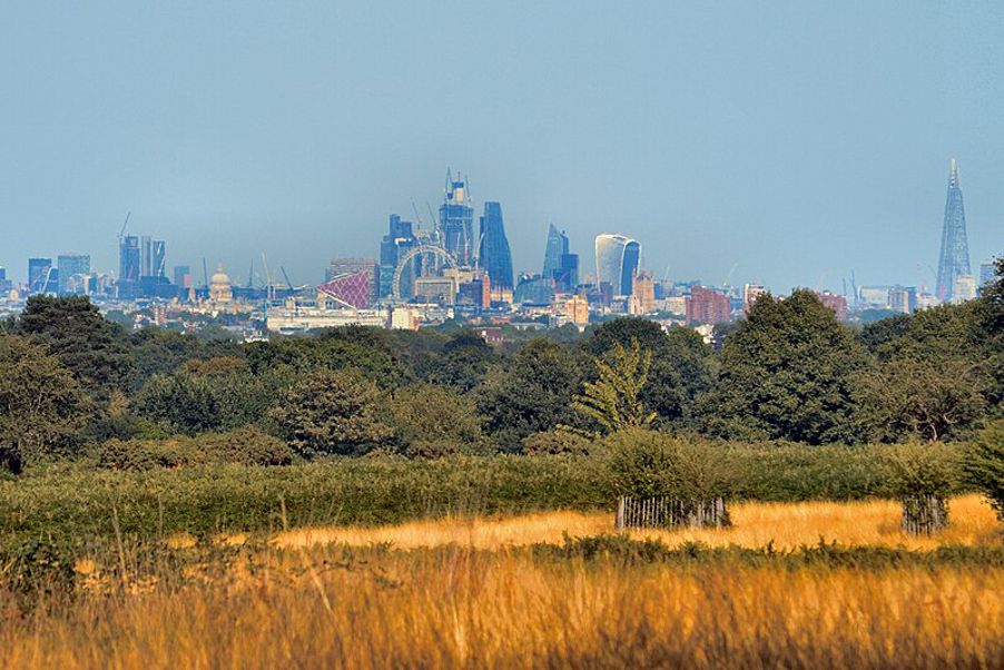 A view of London seen from Richmond Park in 2018