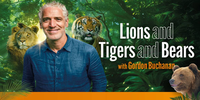 Lions and Tigers and Bears with Gordon Buchanan