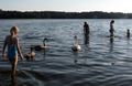 frensham swim.jpeg