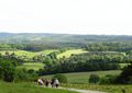 newlands corner.jpeg