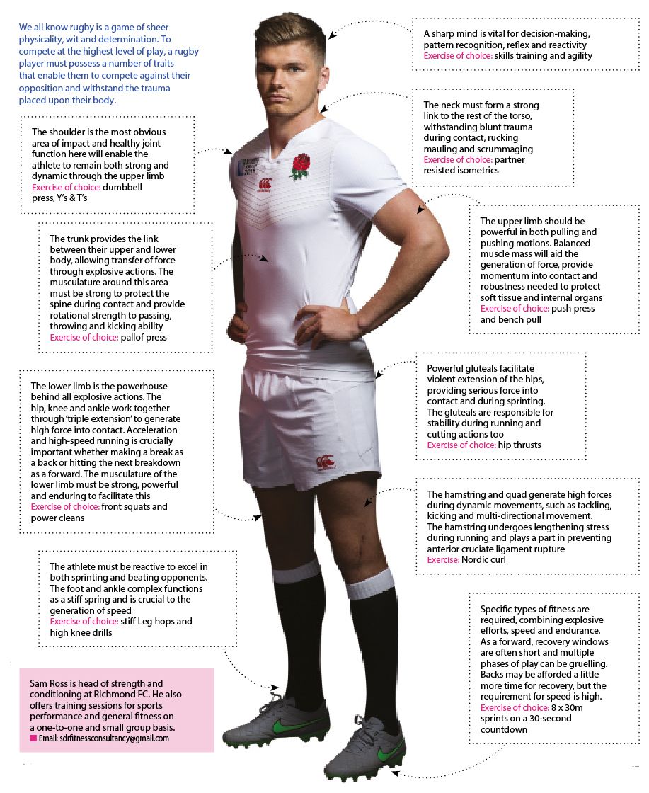 Rugby Positions Body Types