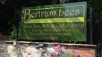 betram bees.png