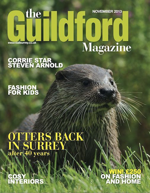The Guildford Magazine - November