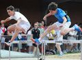 Hurdles-challoner.jpg