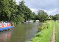 river wey.jpg