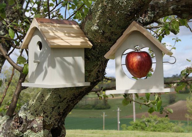 1. Nesting Box & Apple Feeder copy.jpg